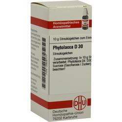 PHYTOLACCA D30
